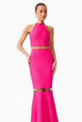 Raspberry Pink High-Stretch Halter Backless Gown